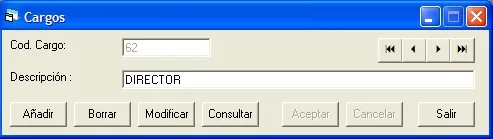 Captura de pantalla — Ayuda WINTRANS: Mantenimiento - Cargos